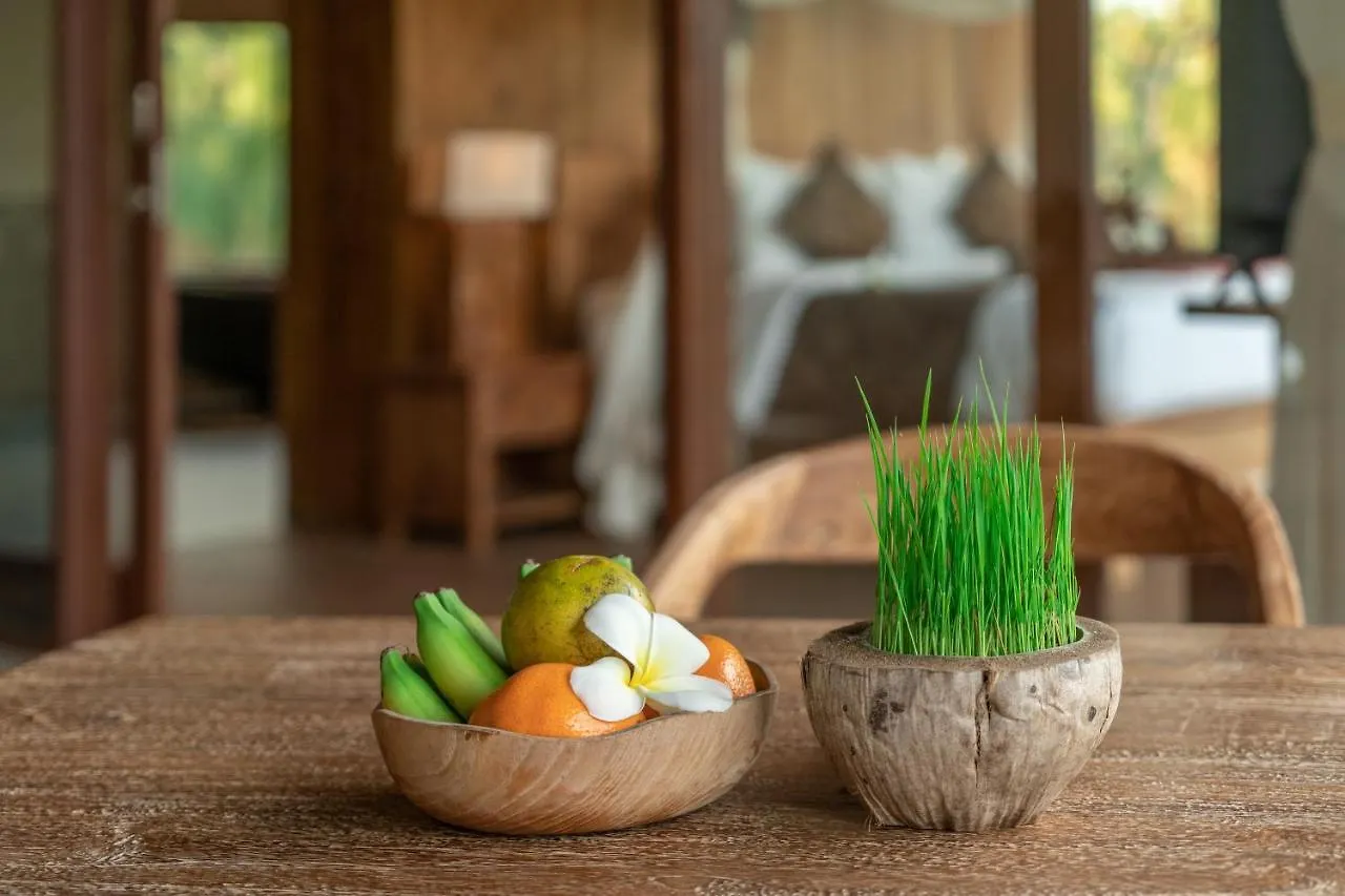 D'Bale Ananda Ubud Villa Indonésie